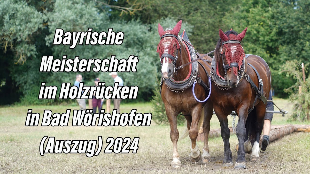 Bayrische Meisterschaft im Holzrücken mit Kaltblütern am 14. Juli 2024 in Bad Wörishofen (Auszug)