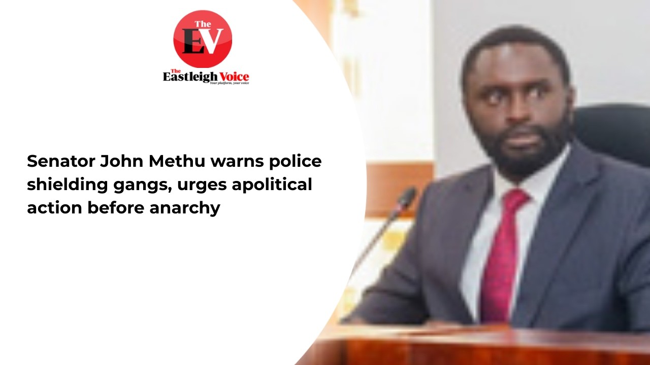 Senator John Methu warns police shielding gangs, urges apolitical action before anarchy