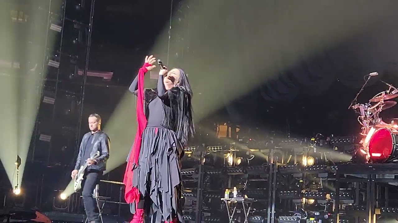 Evanescence - What you want (Live at Madison Square Garden 03.17.2023)