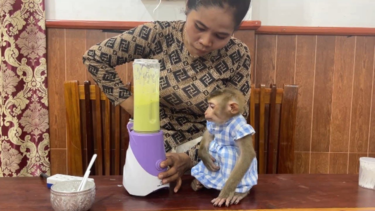 Lovely Baby Monkey