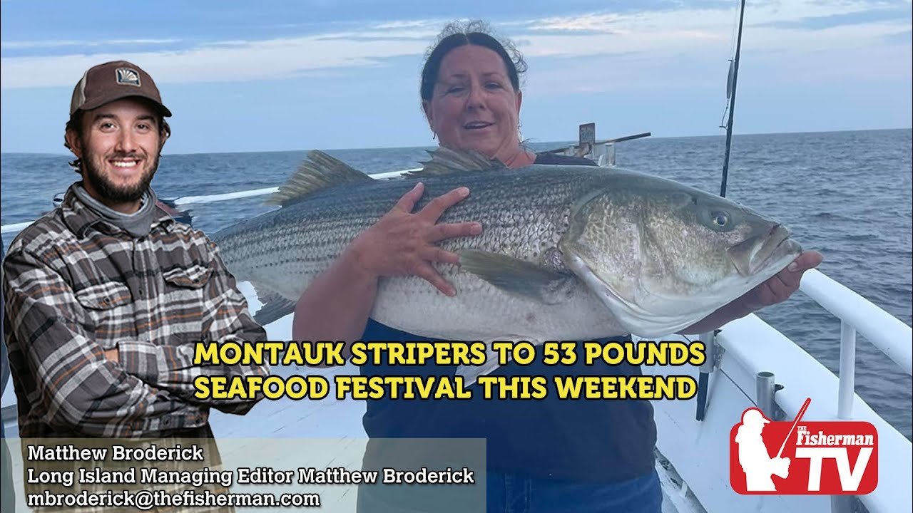 August 17th 2023 Long Island Metro Fishing Report with Matthew Broderick