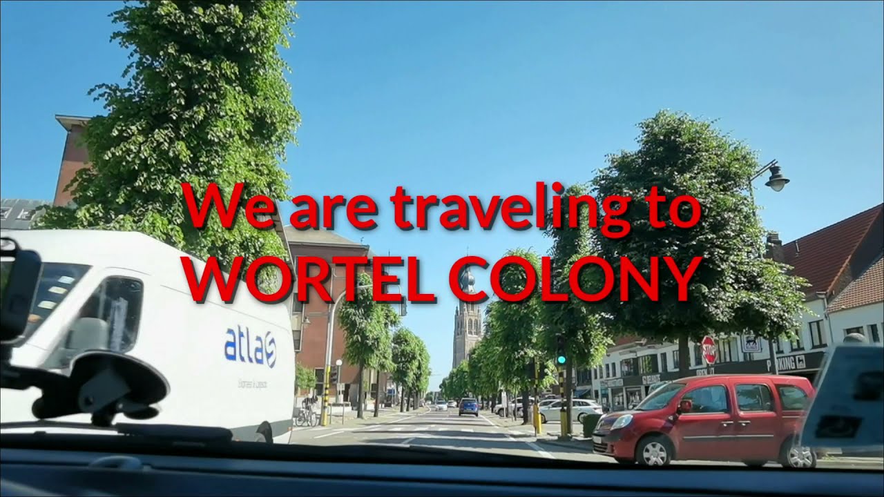 WORTEL COLONY BELGIUM