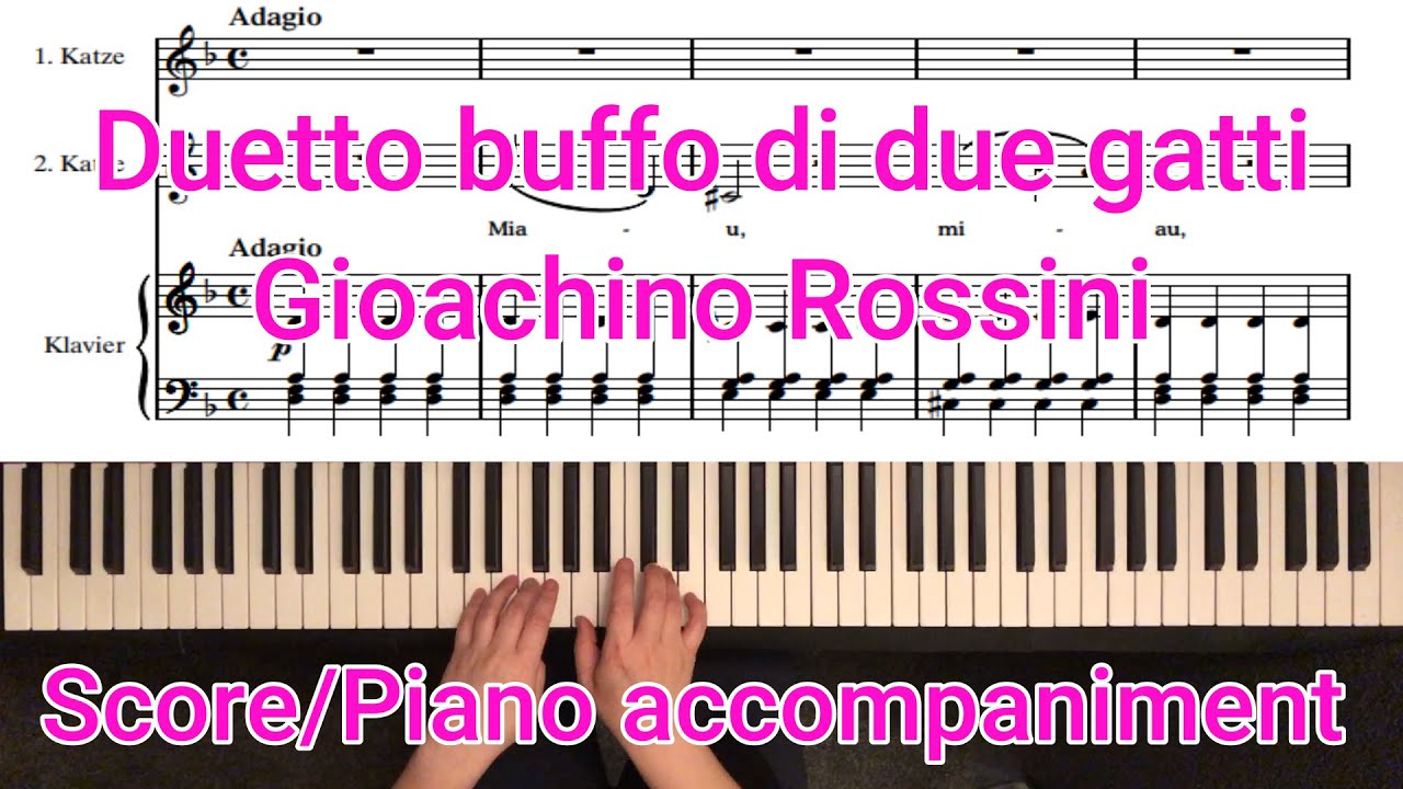 Duetto buffo di due gatti - G. Rossini - Piano accompaniment