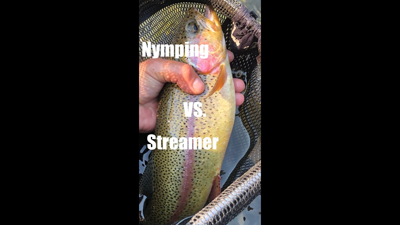 FLY FISHING basics (Nymphing VS. Steamer Fishing)
