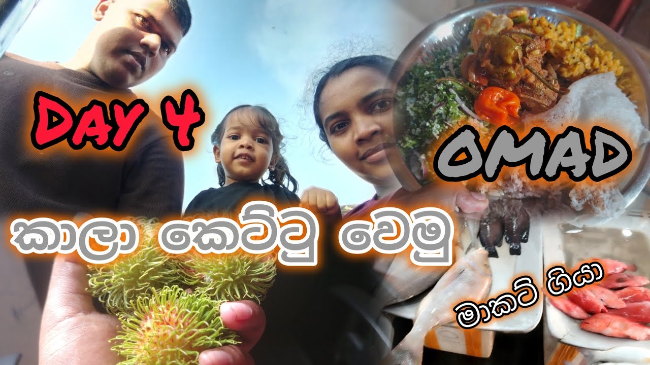 Day 4- ලේසියෙන් බර අඩු කරගමු😍 මාළු ගේන්න මාකට් ගියා #diet #weightlossdiet #happy #dietplan #fasting