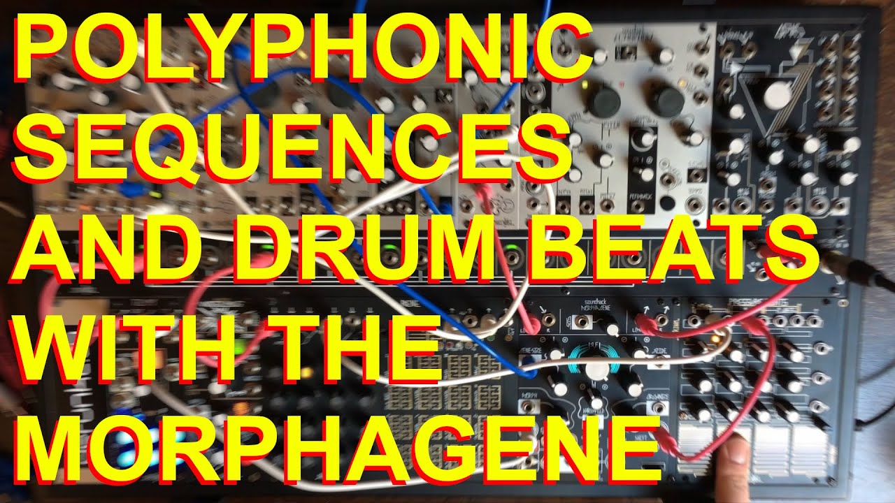 Цикл с Make Noise Morphagene