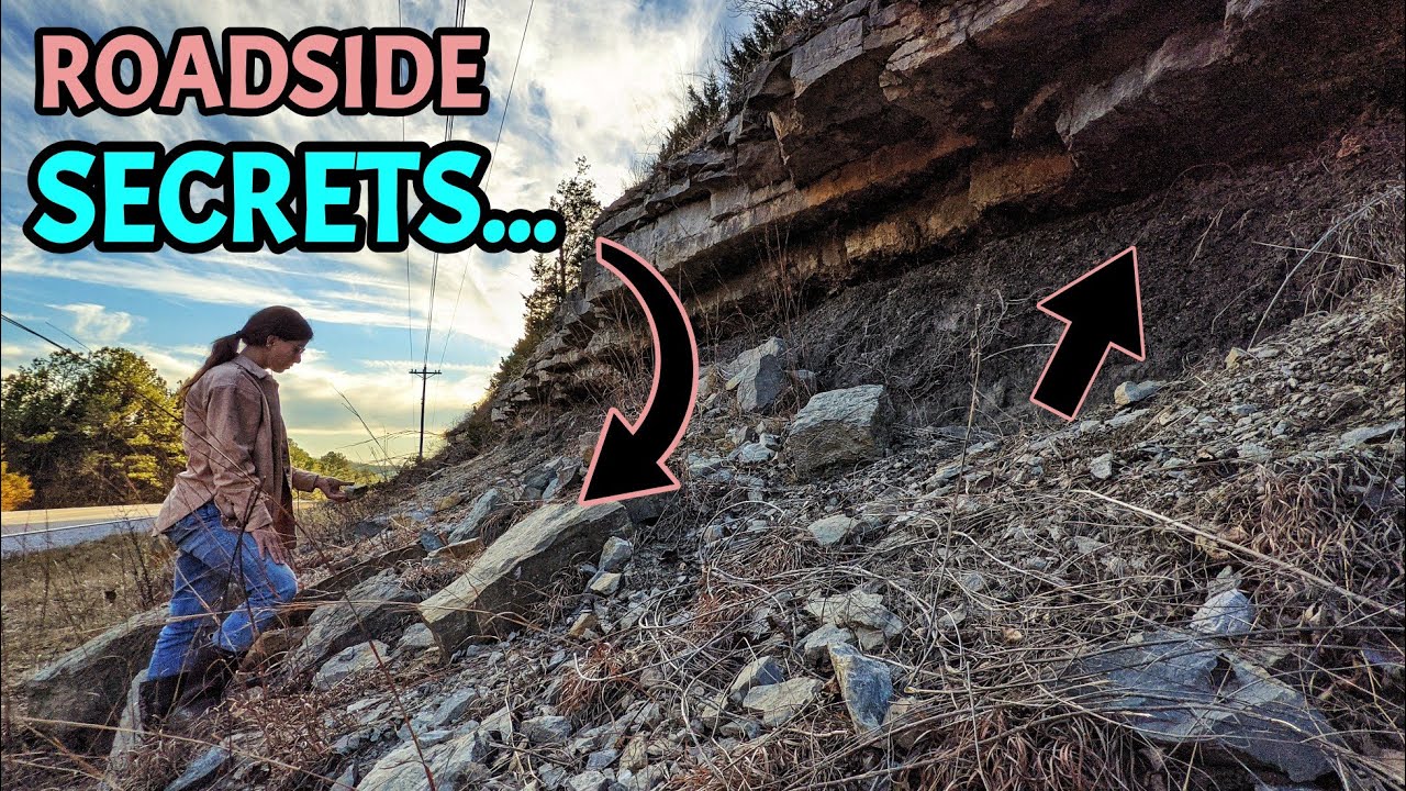 This Alabama Roadside is EXPLODING with Ancient Marine Life - A 350 Million Year Look into the Past!