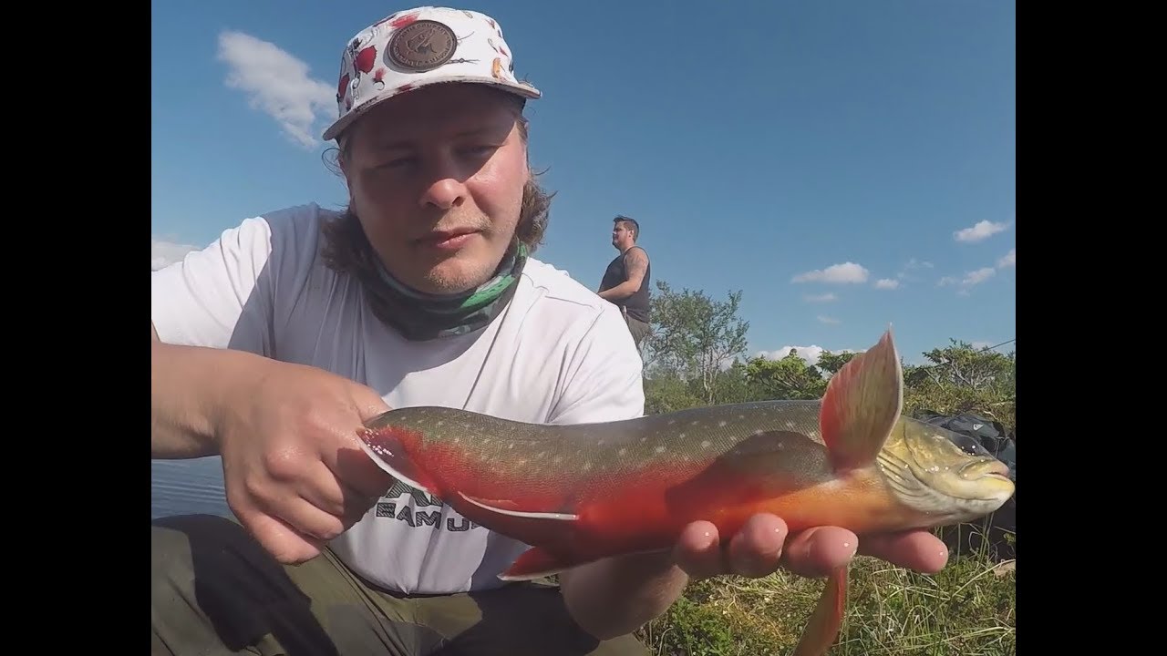 Fiskeveckan i Gäddede 2018 - Del 2