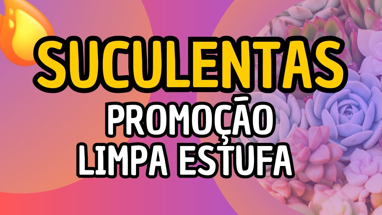 FEIRÃO LIMPA ESTUFA DE OUTUBRO