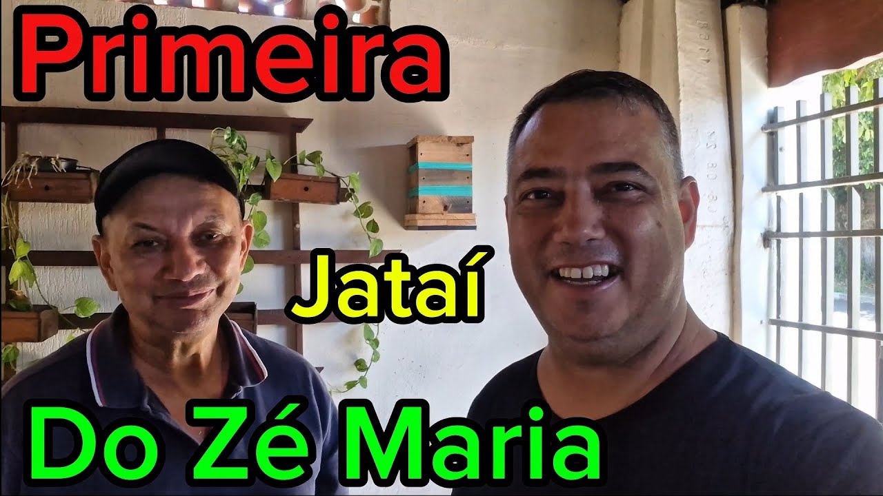 Aula completa de como transferir abelha Jataí 