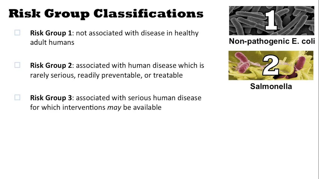 Biological Risk Assessment
