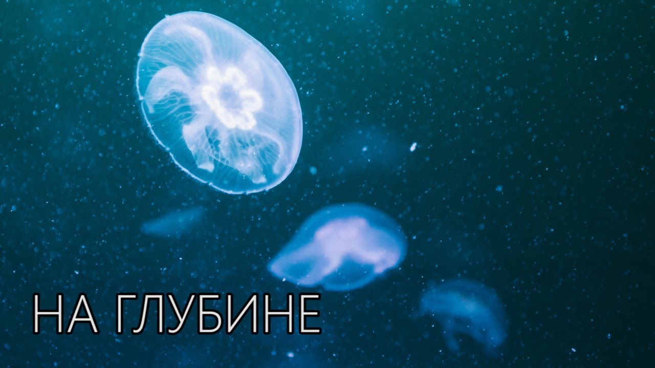 DAWG - На глубине (Криповая история)