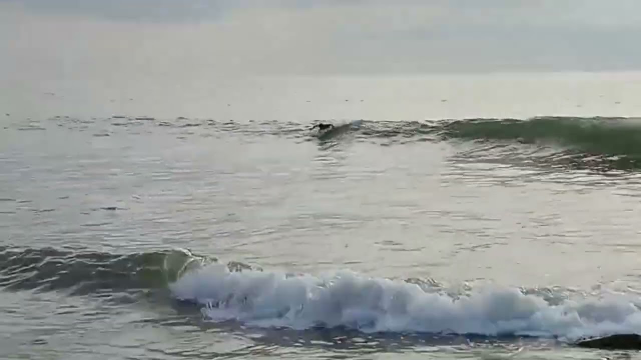 Surf sa bauang