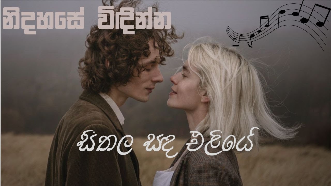 සීතල සඳ එළියේ | Seethala Sanda Eliye | @CalmSinhalaCovers