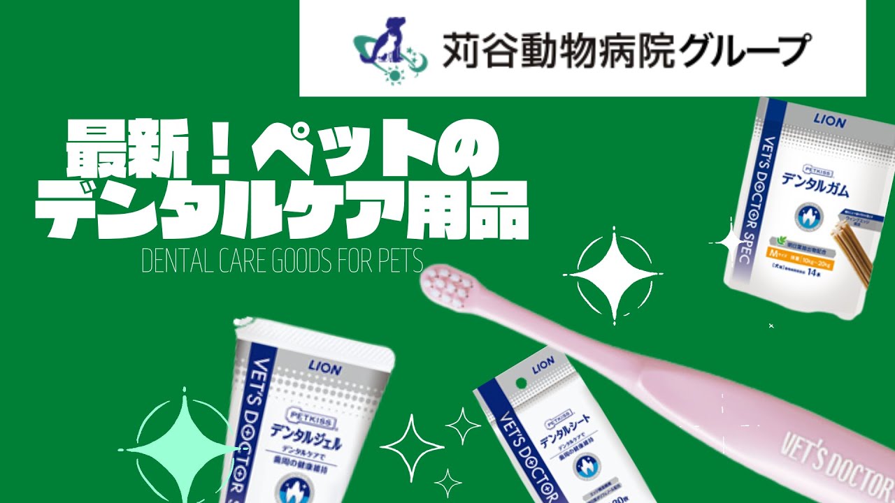 最新！ペットのデンタルケア用品