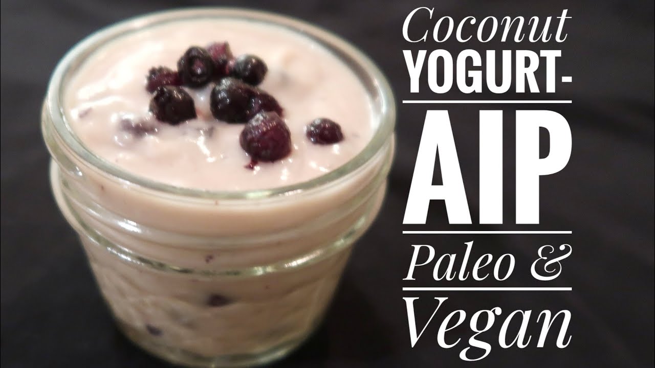 Paleo AIP Coconut Yogurt (Gelatin-free/vegan)