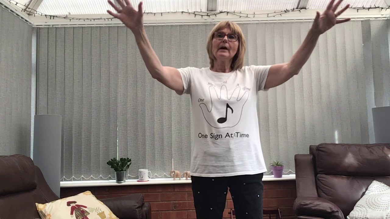 Make you Feel My Love, One Sign At a Time, BSL Sign Language