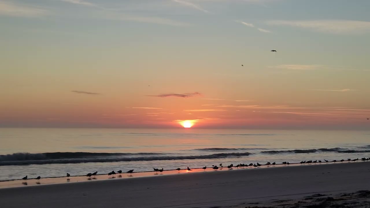 Early Morning Sunrise Serenade | Friday, January 9, 2026 | Ocean Sunrise Studio ☀️ 
