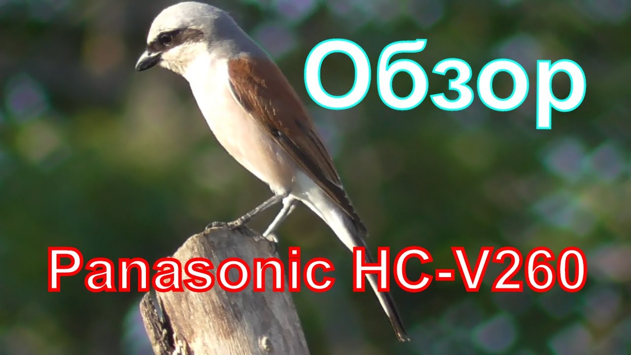 Видеокамера Panasonic HC-V260. Обзор