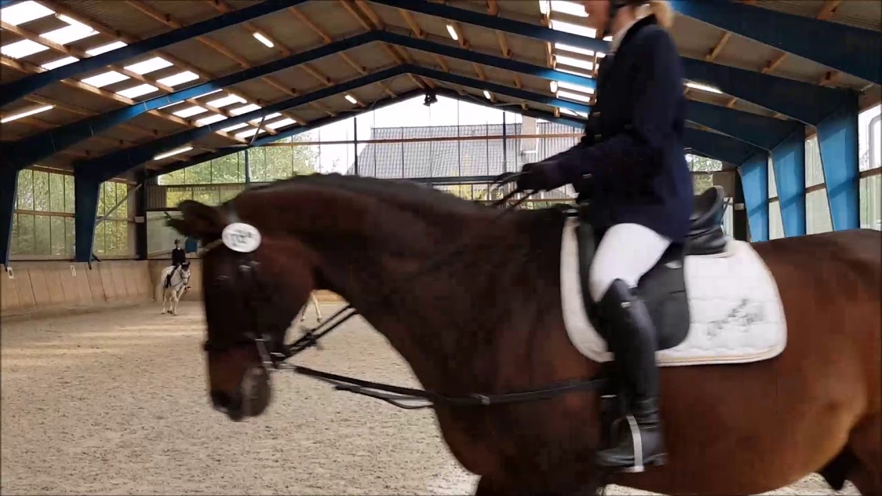 Reiterwettbewerb Schritt-Trab-Galopp Toppenstedt 22.09.2018 / WB 234