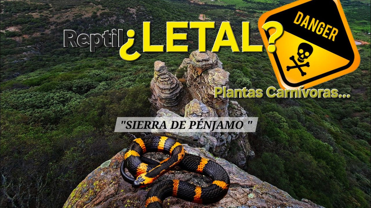 🌿 Sierra de Pénjamo: Fauna Salvaje, Planta Carnívora y Secretos de la Naturaleza Mexicana.