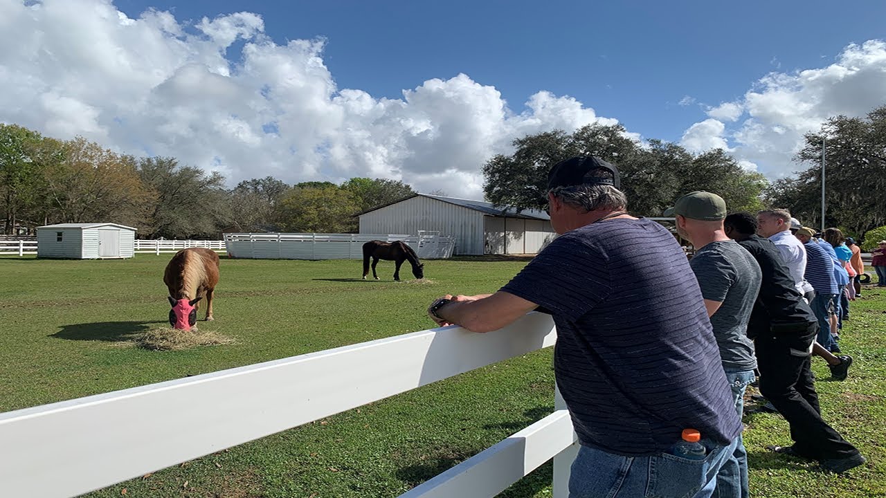 Bay Visions News Brief - Equine Therapy Helps Heal Veterans