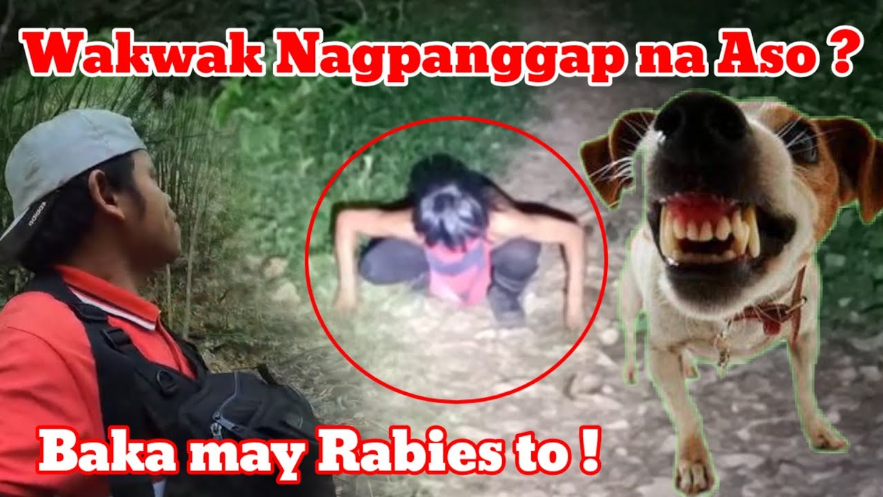 Taong Wakwak pilit ginagaya Ang Aso pero Huli pa rin namin