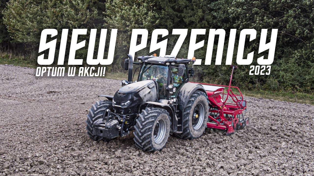 Siew Pszenicy 2023 | GR Chęć | Czarny Optum w Akcji! | Case Optum 270 CVX !!!
