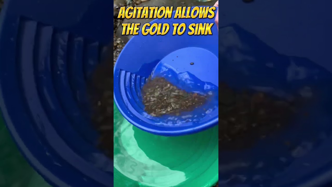 How Does a Gold Pan Capture Gold? 🤔 The Science of Panning & Techniques! #shorts #goldpanning #gold