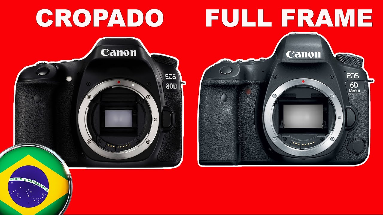 Full Frame vs Crop Sensor - Canon 6D Mark ii vs. Canon 80D
