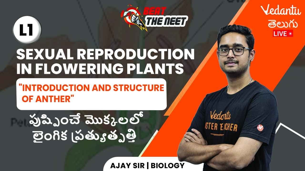 Introduction & Structure of Anther | Sexual Reproduction in Flowering Plants | NEET 2023 | Ajay Sir