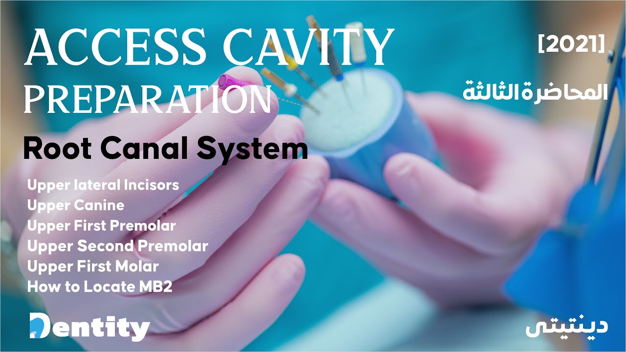 المحاضرة الثالثة لعلاج العصب | Root Canal System