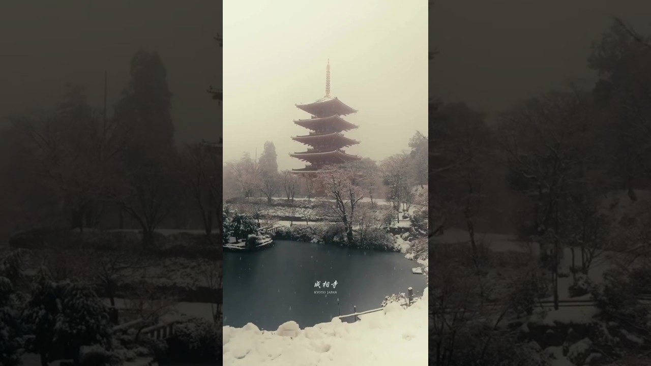 Seizoji Temple: Kyoto&rsquo;s Snow Wonderland ✨❄️ | A Tranquil Winter Escape #japan #japantravel #snowfall