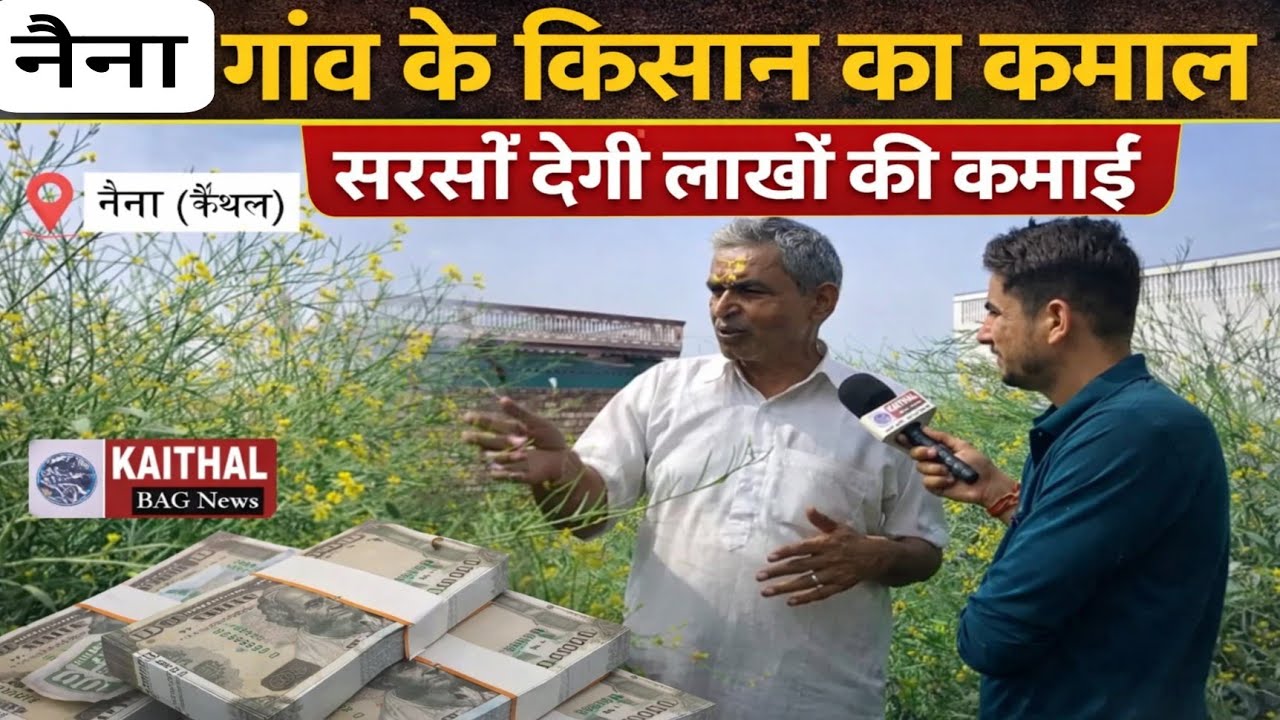 नैना गांव के किसान का कमाल, सरसों देगी लाखों की कमाई