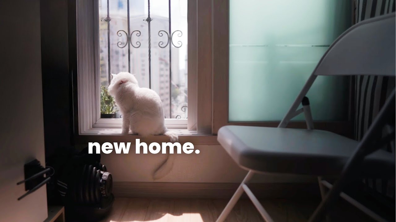 Apartment Hunting for Cat Parents (3 Things I Always Check)
