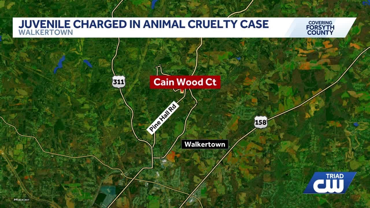 Forsyth County Sheriff's Office: Juvenile charged with animal cruelty after 'shocking video'