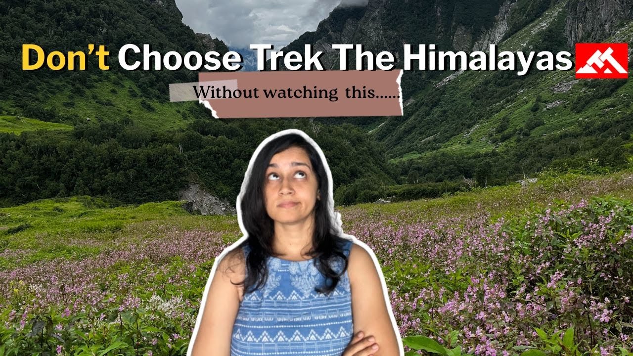 Trek The Himalayas - Review | Valley of Flowers Trek in August