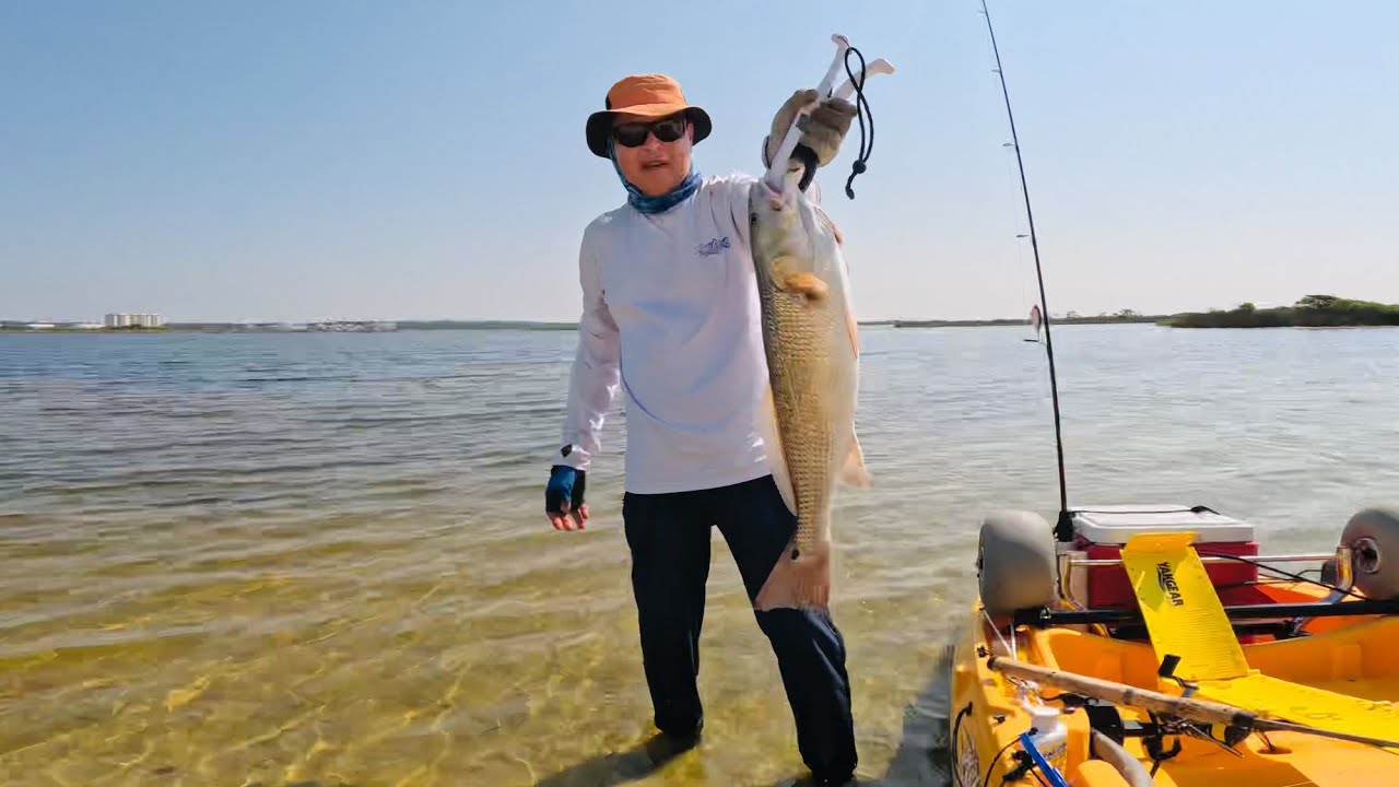 Big Lagoon Fishing, Pensacola Florida (Catch,Clean&Cook)