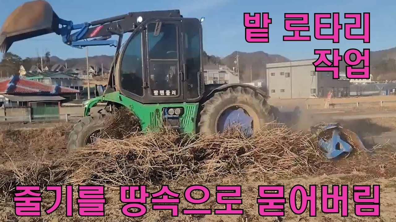 줄기를 땅속에 묻어버림 밭로타리작업