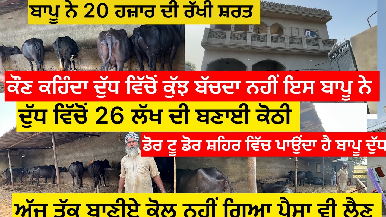 ਕੌਣ ਕਹਿੰਦਾ ਦੁੱਧ ਵਿੱਚੋਂ ਕੁੱਝ ਬੱਚਦਾ ਨਹੀਂ ? ਦੁੱਧ ਵਿੱਚੋਂ ਇਸ ਬਾਪੂ ਨੇ ਬਣਾਈ 26 ਲੱਖ ਦੀ ਕੋਠੀ,ਬਾਪੂ ਨੇਂ ਰੱਖੀ ……