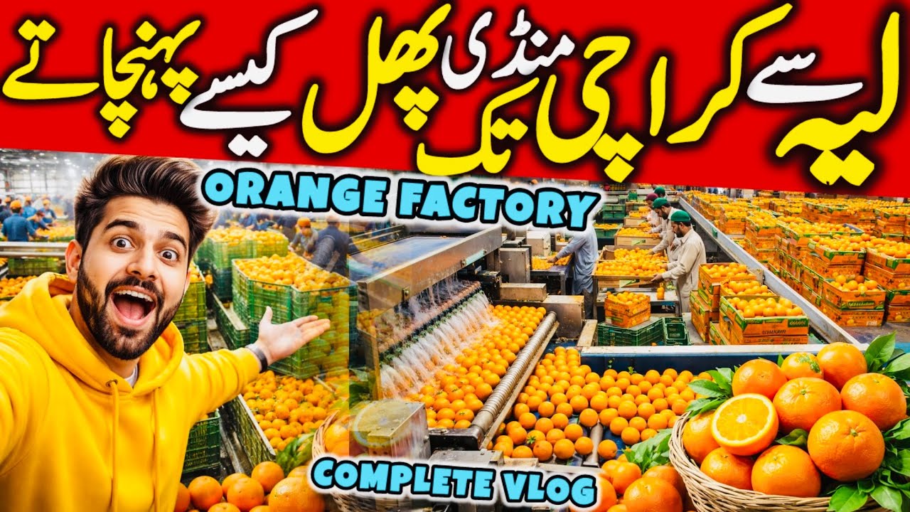 لیہ کی مشہور اورنج فیکٹری 🍊 جہاں سے کراچی تک مال جاتا ہے |Complete Packing Process Karachi Mandi