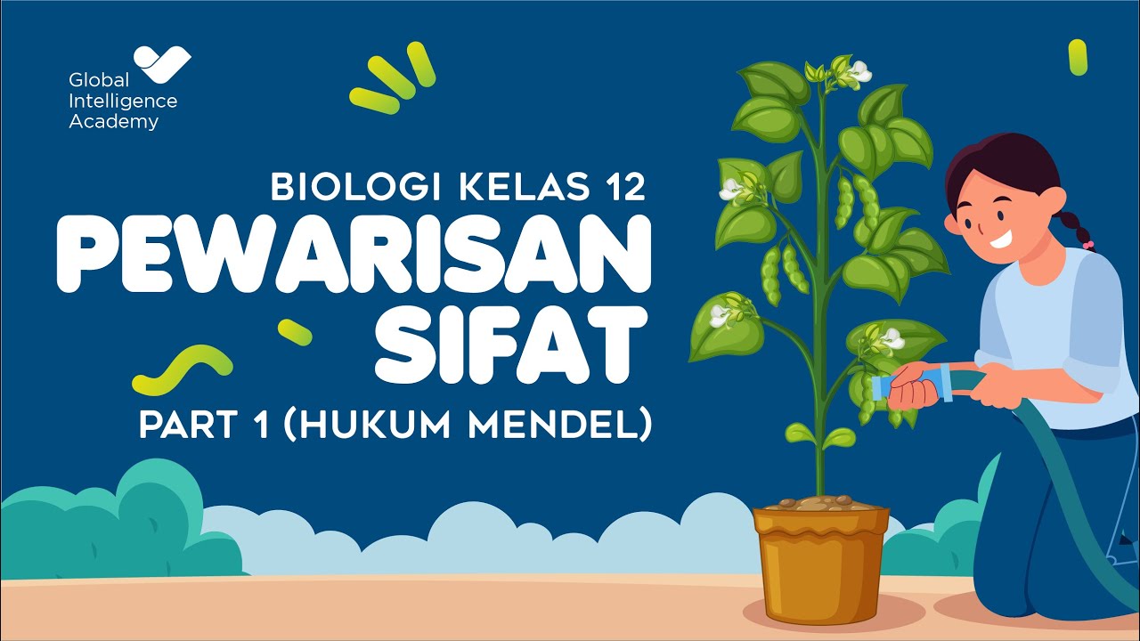 BIOLOGI SMA Kelas 12 - Pewarisan Sifat PART 1 (Hukum Mendel) | GIA Academy