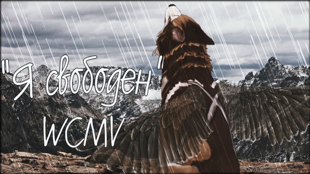 Wcmv - 