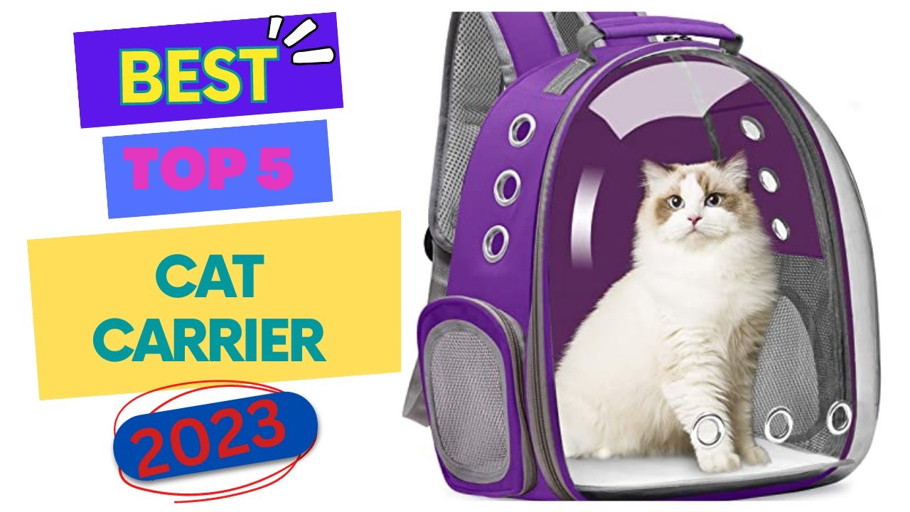 Best cat carrier: How To Choose The Right One