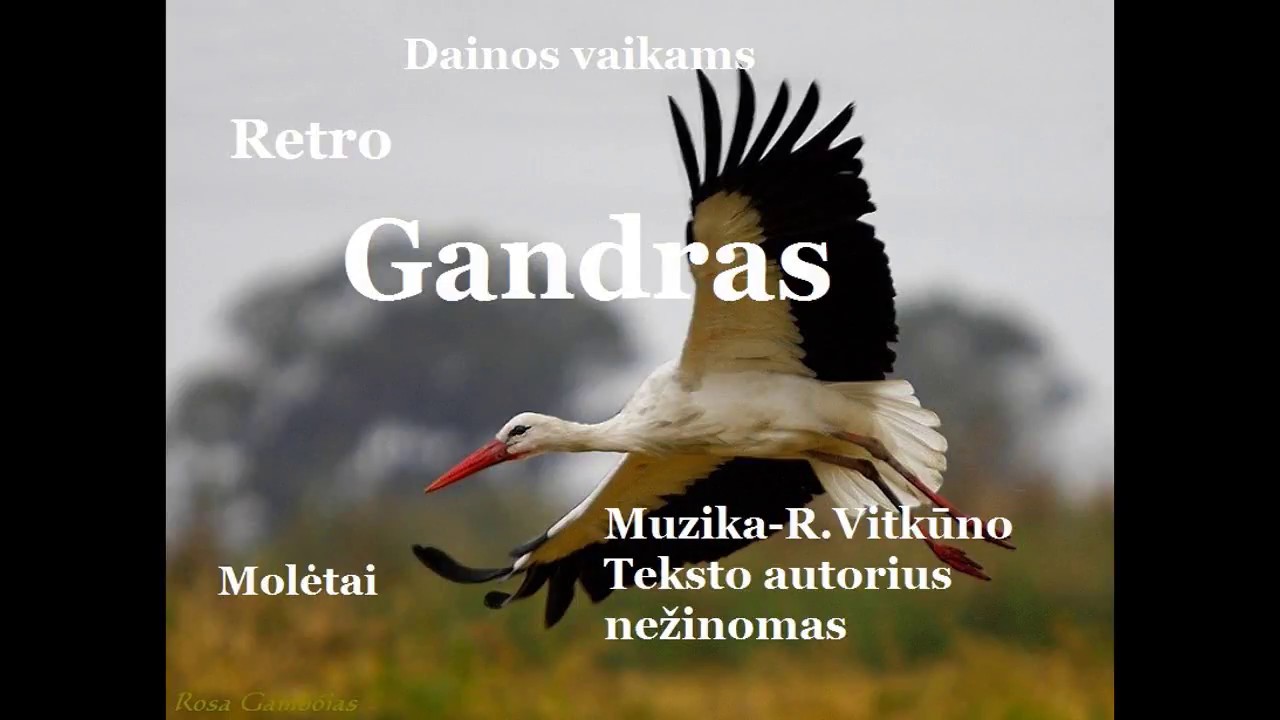 Gandras..Retro,Dainos vaikams,Molėtai,Rimas,kūryba