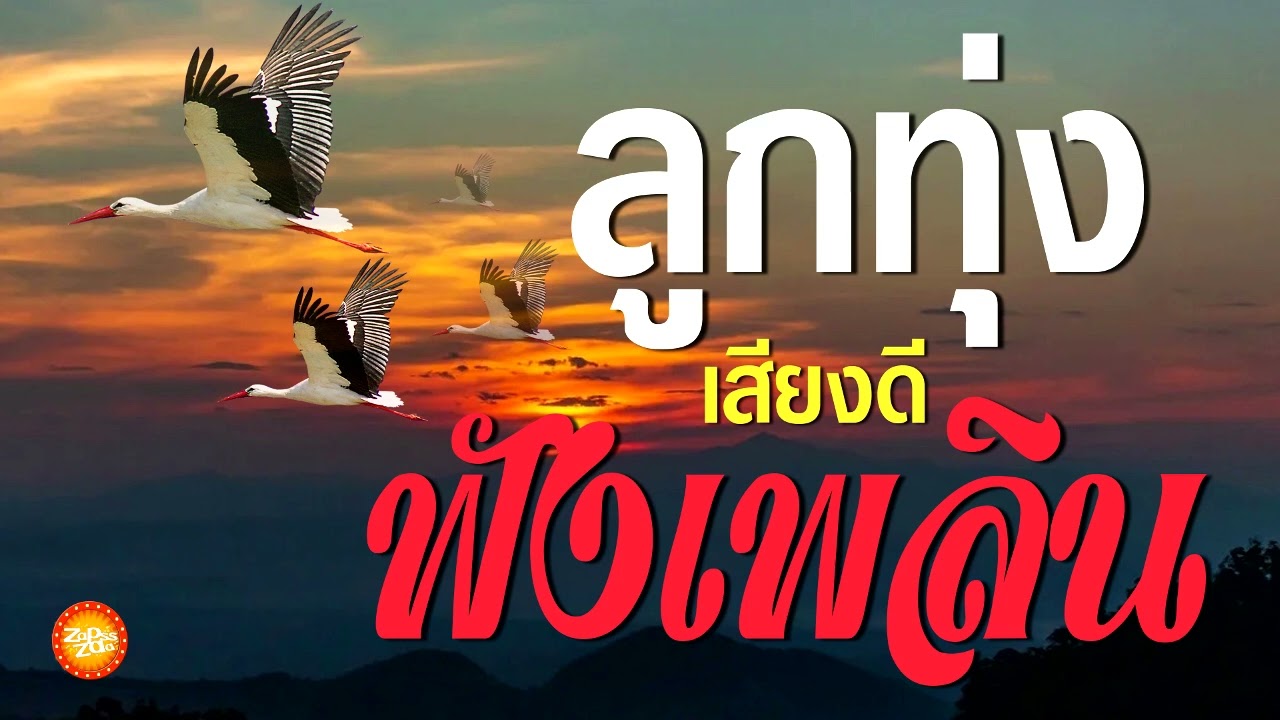 เพลงลูกทุ่งเฟังเพลิน #รวมเพลงลูกทุ่งฟังเพราะ #เสียงดี