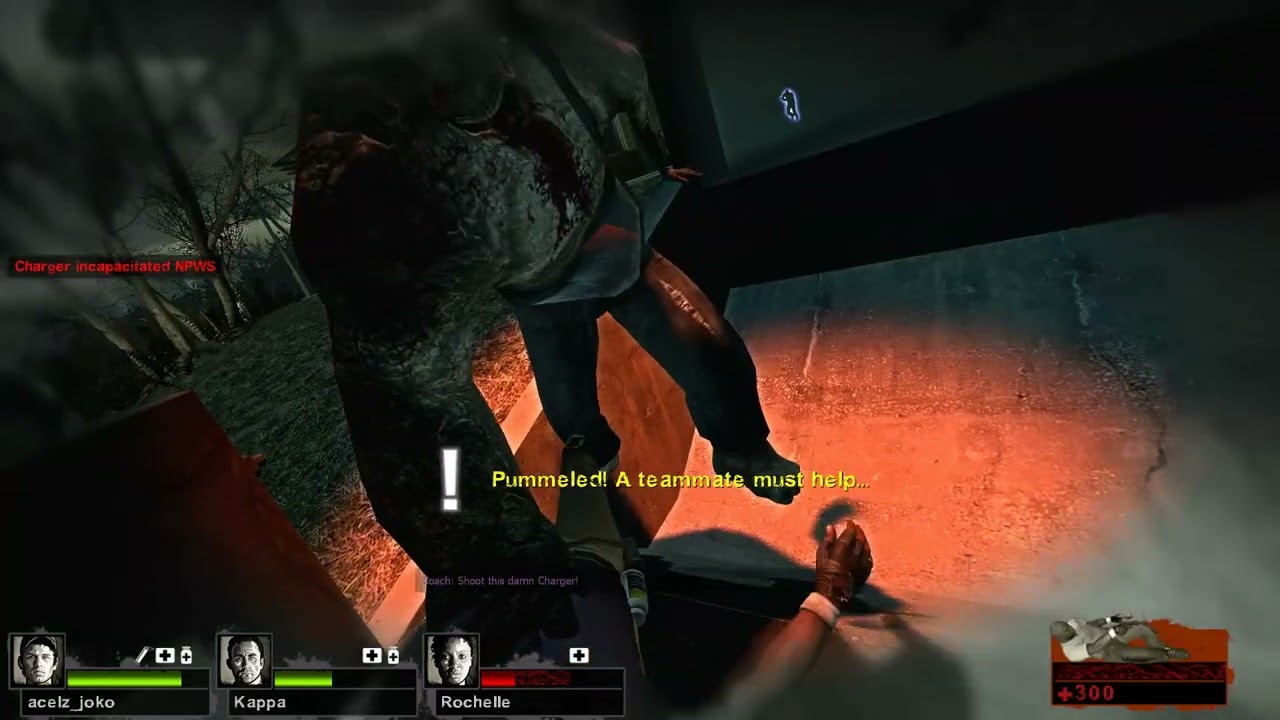 Left 4 Dead 2 multiplayer
