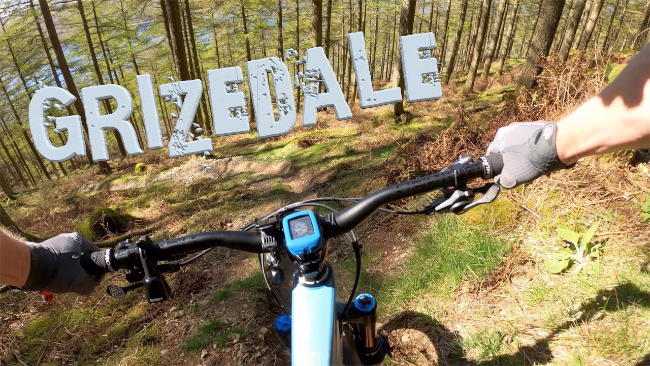 Grizedale & Parkamoor