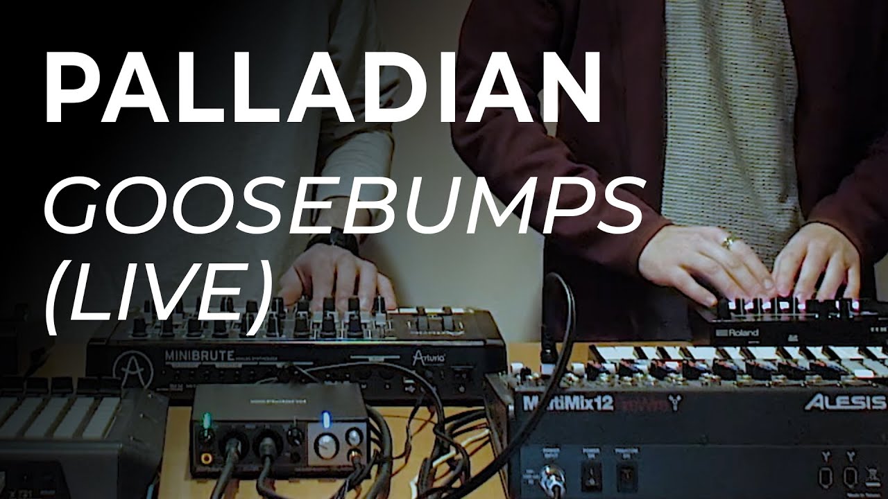PALLADIAN - Goosebumps (Live)