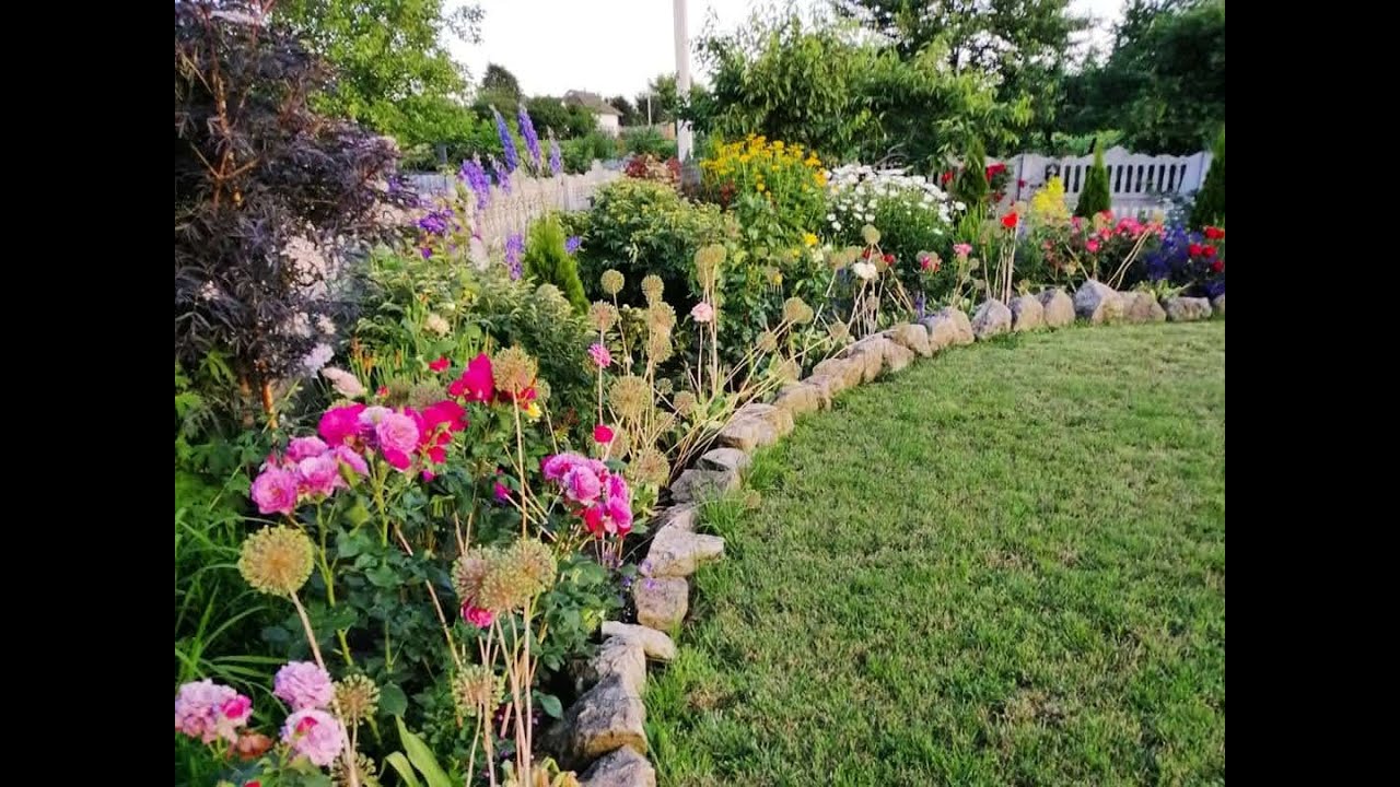 Міксбордер з трояндами.Троянди і цибулинні.Догляд за трояндами.Польові квіти .Сад своїми руками